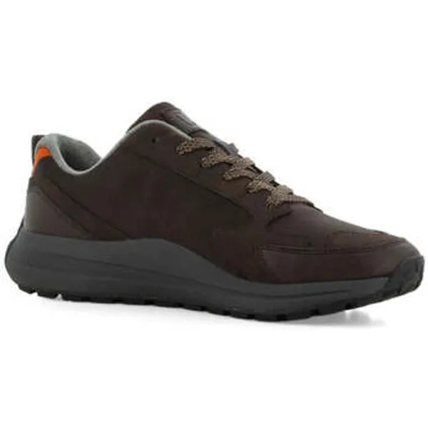 Cortina Lage Sneakers Bruin, vergelijk prijzen bij 1 winkel