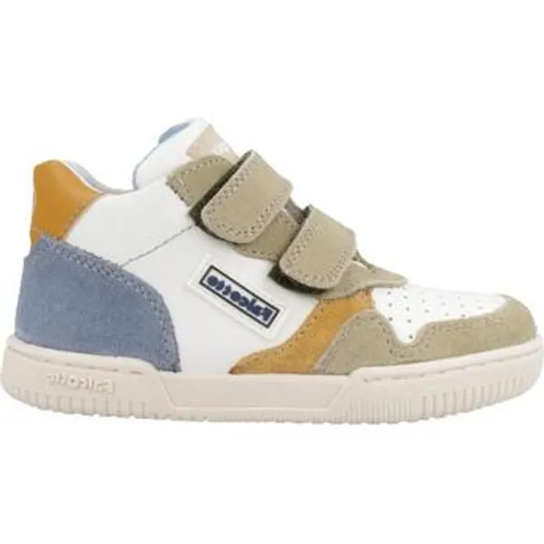 Falcotto Klip 2 VL. Multicolor, vergelijk prijzen bij 1 winkel