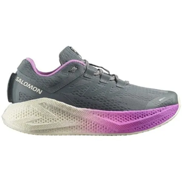 Salomon Aero Glide 3 Grijs, vergelijk prijzen bij 1 winkel