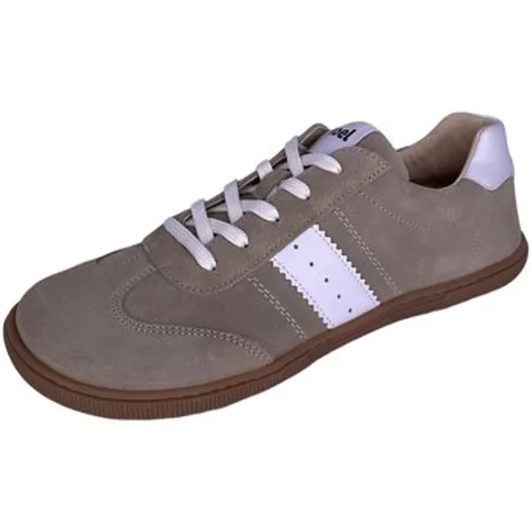 Koel Lage Sneakers Bruin, vergelijk prijzen bij 1 winkel
