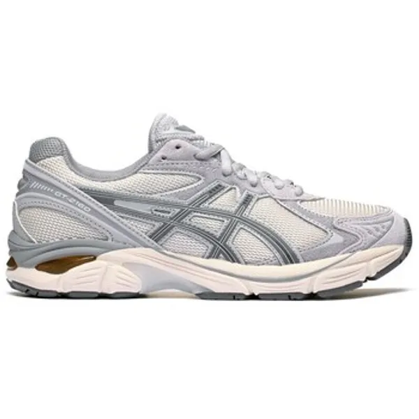 ASICS GT-2160 Grijs, vergelijk prijzen bij 1 winkel