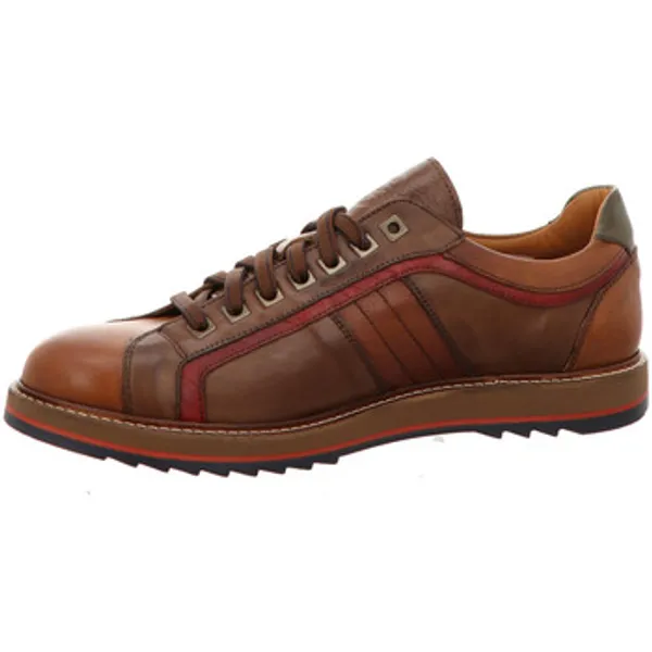Exton Lage Sneakers Bruin, vergelijk prijzen bij 1 winkel