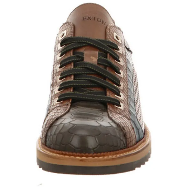 Exton Lage Sneakers Bruin, vergelijk prijzen bij 1 winkel