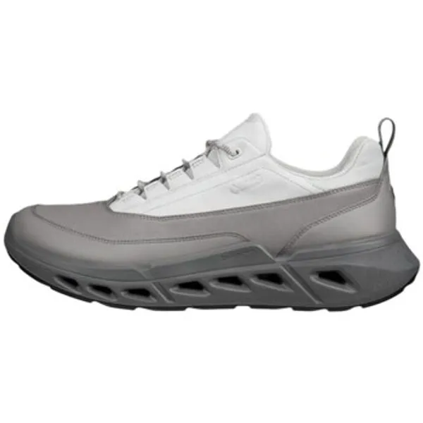 ECCO Biom 720 GTX Grijs, vergelijk prijzen bij 1 winkel