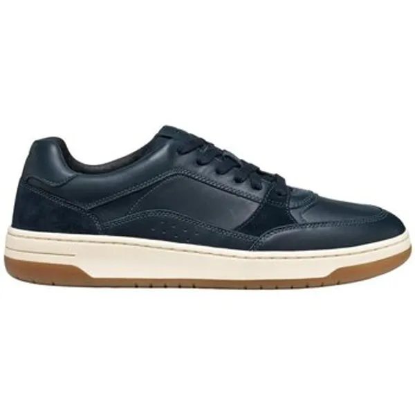 Geox Schoenen-Mannen Blauw, vergelijk prijzen bij 1 winkel