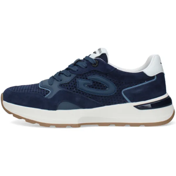 Alberto Guardiani Lage Sneakers Blauw, vergelijk prijzen bij 1 winkel