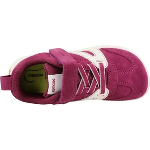 Geox J66pca 022bc J Foot Paars, vergelijk prijzen bij 1 winkel