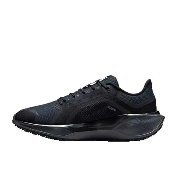 Nike Air Zoom Pegasus 41 GTX Zwart, vergelijk prijzen bij 1 winkel