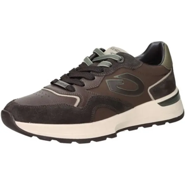 Alberto Guardiani Sneakers Bruin, vergelijk prijzen bij 1 winkel