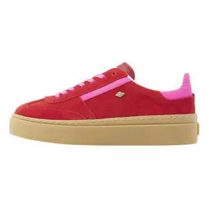 British Knights Re-issue rood
