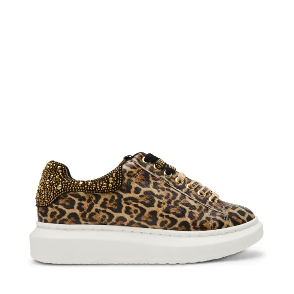 Steve Madden Gaze-2C Bruin, vergelijk prijzen bij 1 winkel