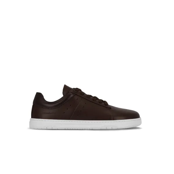 Barebarics Enigma Bruin, vergelijk prijzen bij 1 winkel