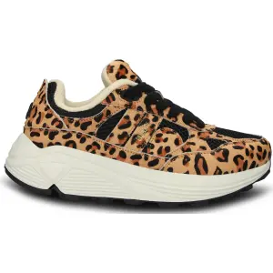 Blackstone V Riley multicolor