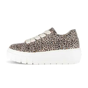 Gabor Leo Small bruin