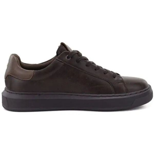 Big Star INT2267B Bruin, vergelijk prijzen bij 1 winkel