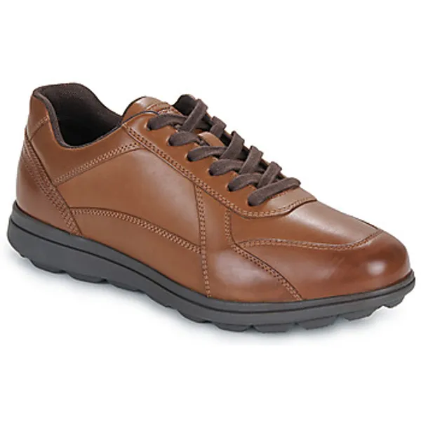Geox U Spherica EC12 Bruin, vergelijk prijzen bij 1 winkel