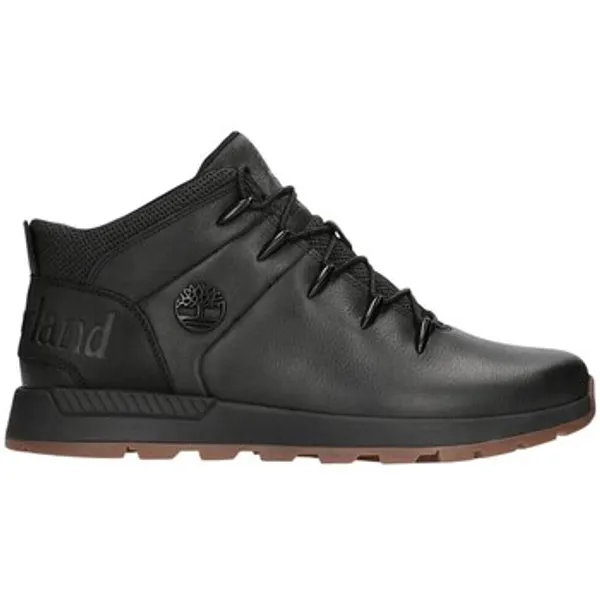 Timberland Hoge Sneakers Zwart, vergelijk prijzen bij 1 winkel