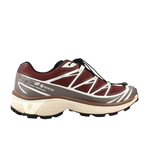 Salomon XT 6 GTX Bruin, vergelijk prijzen bij 1 winkel