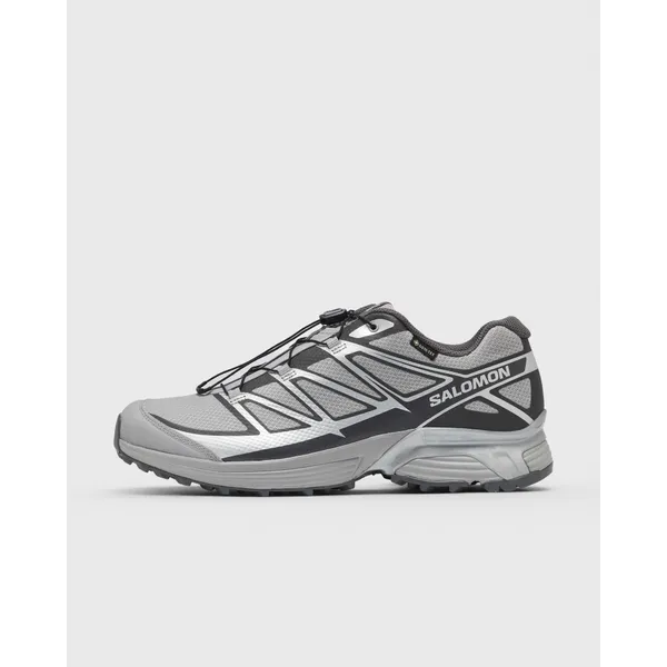 Salomon XT-Pathway GORE-TEX Grijs, vergelijk prijzen bij 1 winkel