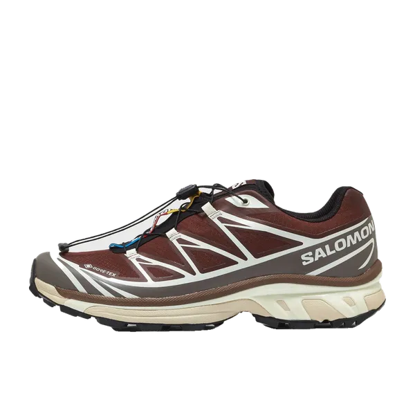 Salomon XT-6 GORE-TEX Bruin, vergelijk prijzen bij 1 winkel