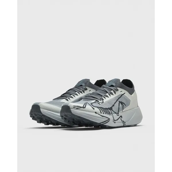 Arc´teryx Arc'teryx Sylan 2 Multicolor, foto 3 van 5