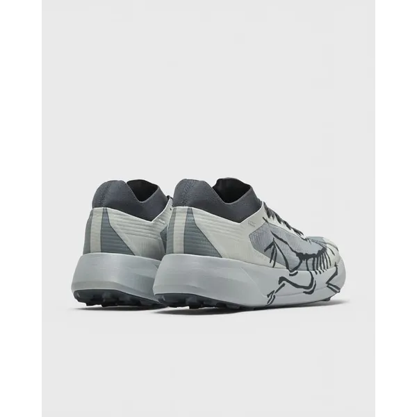 Arc´teryx Arc'teryx Sylan 2 Multicolor, foto 5 van 5