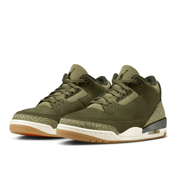 Jordan Air 3 Retro "Family Affair" Groen, vergelijk prijzen bij 1 winkel