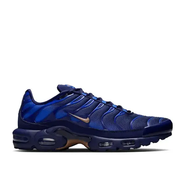 Nike Air Max Plus French Football Federation, foto 2 van 2