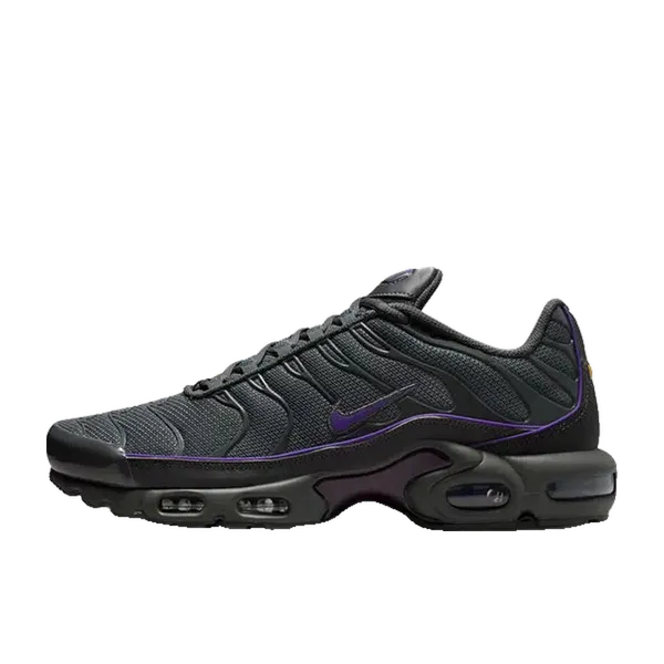 Nike Air Max Plus OG Iron Grey Wild Grape, vergelijk prijzen bij 1 winkel