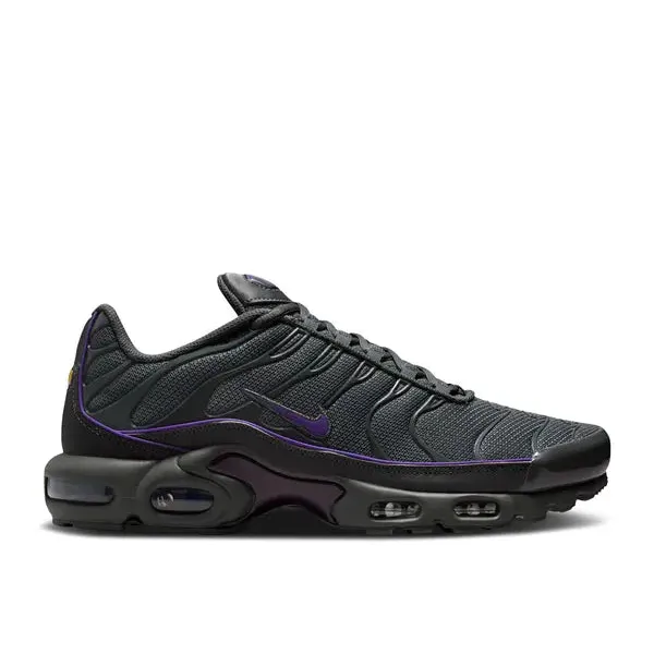 Nike Air Max Plus OG Iron Grey Wild Grape, foto 2 van 2