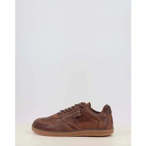 Cetti C-848 Barefoot Bruin, vergelijk prijzen bij 1 winkel