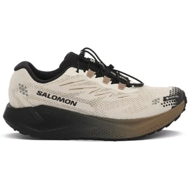 Salomon Aero Blaze 4 Grvl GTX Beige, vergelijk prijzen bij 1 winkel