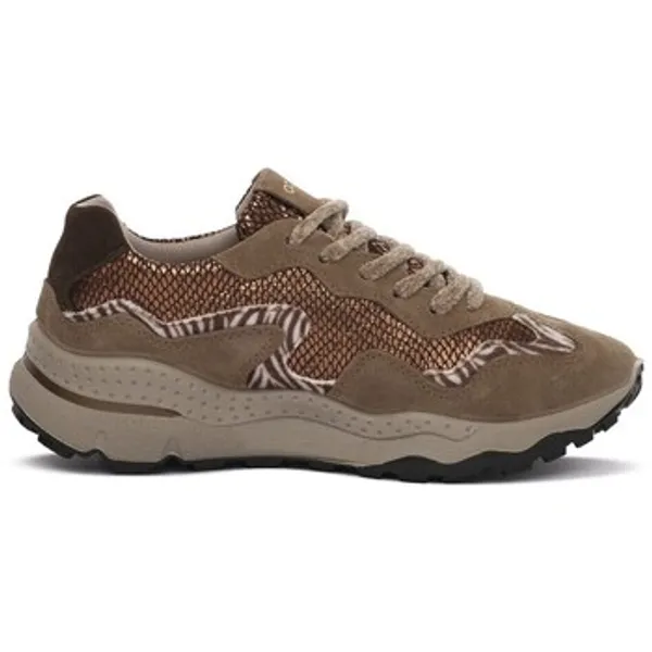 IGI&Co Sneakers Bruin, vergelijk prijzen bij 1 winkel