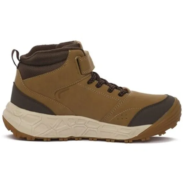 Joma Camba Bruin, vergelijk prijzen bij 1 winkel