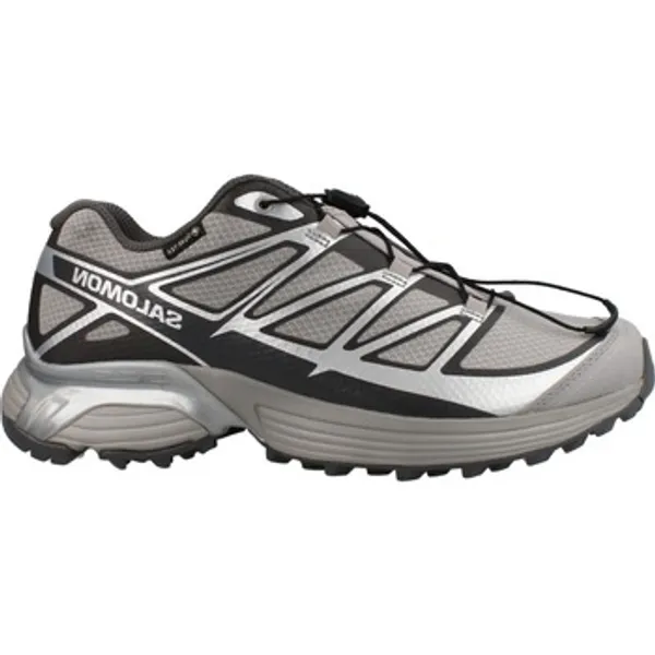 Salomon XT Pathway GTX Zilver, vergelijk prijzen bij 1 winkel
