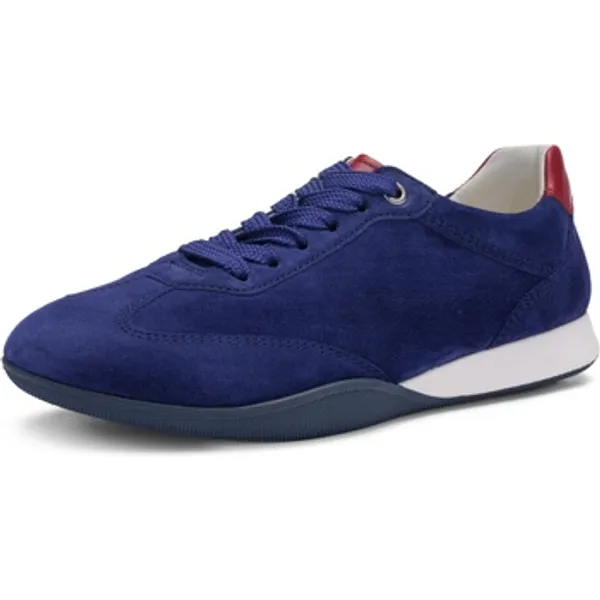 Ara Amalfi Blauw, vergelijk prijzen bij 1 winkel