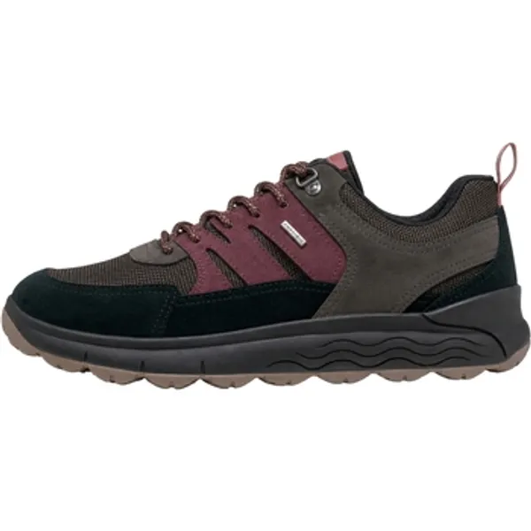 Geox Lage Sneakers Zwart, vergelijk prijzen bij 1 winkel
