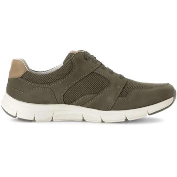 Pius Gabor Lage Sneakers Groen, vergelijk prijzen bij 1 winkel