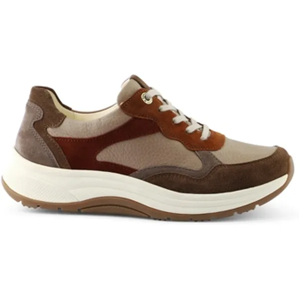 Ganter Highflyer Beige, vergelijk prijzen bij 1 winkel