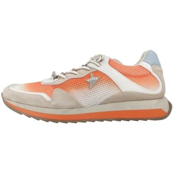 Cetti C1382 V25 Oranje, vergelijk prijzen bij 1 winkel